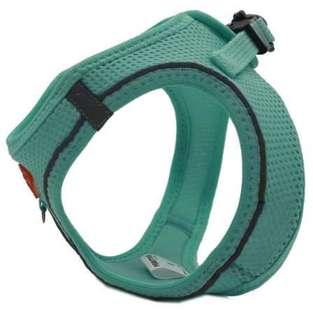 Pawstar Mint Airmesh Köpek Göğüs Tasması XL