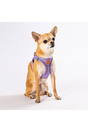 Pawstar Lila Air-mesh Göğüs Tasması Kedi Köpek Göğüs Tasması Medium