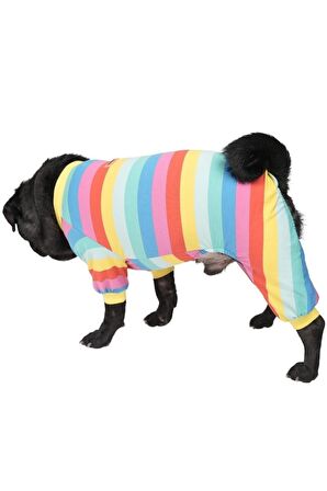 Pawstar Colorfit Rompers Renkli Kedi Köpek Penye Pijama Tulum Small