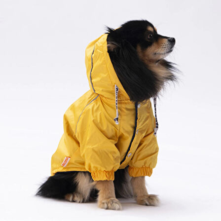 Pawstar Pluvia İçi Polar Küçük Irk Köpek Yağmurluğu Sarı