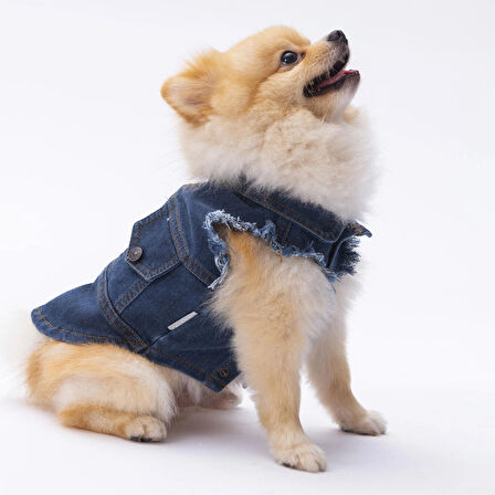 Pawstar Küçük Irk Köpek için Denim Yelek