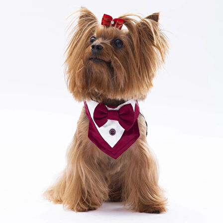 Pawstar Bordo Smokin Kedi/Köpek Fuları