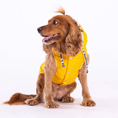Pawstar Railway Sarı Su İtici Küçük Irk Köpek Yelek Yağmurluk