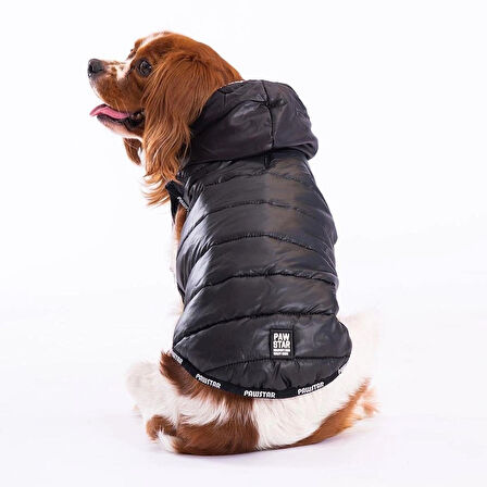Pawstar Railway Siyah Su İtici Küçük Irk Köpek Yelek Yağmurluk