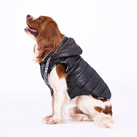 Pawstar Railway Siyah Su İtici Küçük Irk Köpek Yelek Yağmurluk