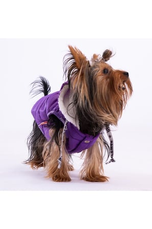Pawstar Kedi ve KÜÇÜK Köpek Purple Railway Vest XL Sırt38cm Göğüs55cm Boyun34cm