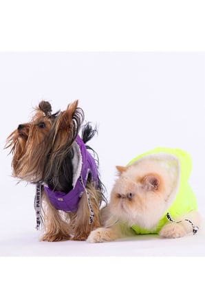 Pawstar Kedi ve KÜÇÜK Köpek Purple Railway Vest XL Sırt38cm Göğüs55cm Boyun34cm