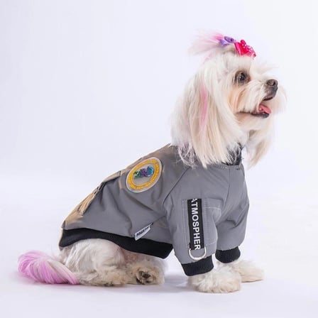 PawStar Astrodog Gri Reflektörlü Kumaş Yağmurluk Küçük ve Orta Irk