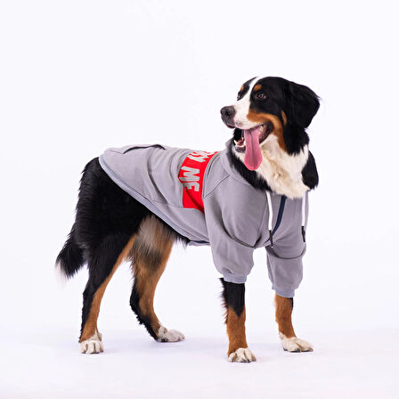 Pawstar Gri Angry Orta-Büyük Irk Köpek Fermuarlı Sweatshirt