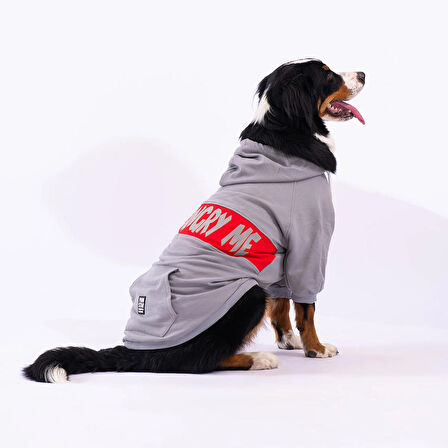 Pawstar Gri Angry Orta-Büyük Irk Köpek Fermuarlı Sweatshirt