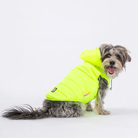 Pawstar Railway Neon Sarı Su İtici Küçük Irk Köpek Yelek Yağmurluk