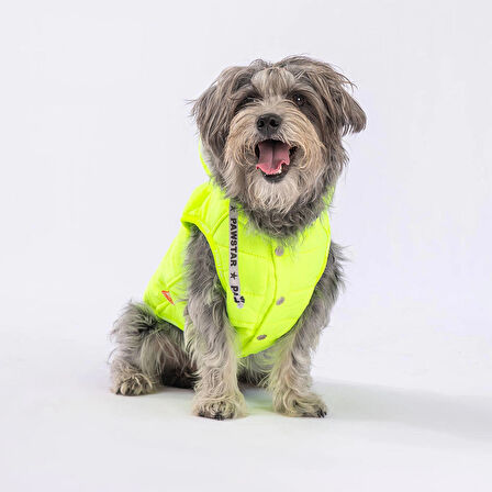 Pawstar Railway Neon Sarı Su İtici Küçük Irk Köpek Yelek Yağmurluk