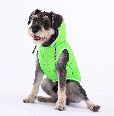 Pawstar Railway Neon Yeşil Su İtici Küçük Irk Köpek Yelek Yağmurluk