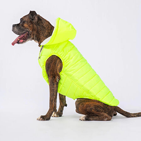 Pawstar Railway Neon Sarı Su İtici Orta-Büyük Irk Köpek Yelek Yağmurluk