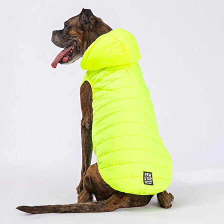 Pawstar Railway Neon Sarı Su İtici Orta-Büyük Irk Köpek Yelek Yağmurluk