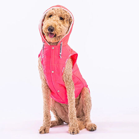 Pawstar Railway Neon Fuşya Su İtici Orta-Büyük Irk Köpek Yelek Yağmurluk