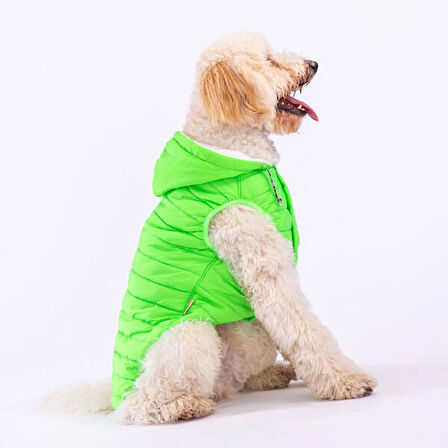 Pawstar Railway Neon Green Su İtici Orta-Büyük Irk Köpek Yelek Yağmurluk