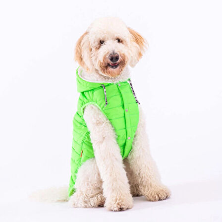 Pawstar Railway Neon Green Su İtici Orta-Büyük Irk Köpek Yelek Yağmurluk