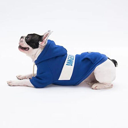 Pawstar Mavi Cute Polarlı Küçük Irk Köpek Sweatshirtü