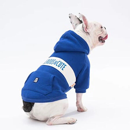 Pawstar Mavi Cute Polarlı Küçük Irk Köpek Sweatshirtü