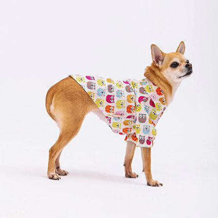 Pawstar Owls Kedi ve Küçük Irk Köpek Gömleği
