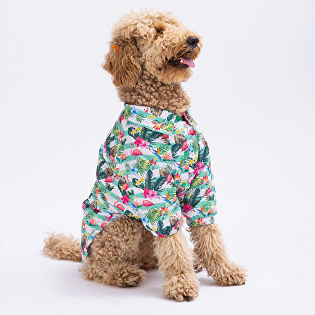 Pawstar Hawai Orta-Büyük Irk Köpek Gömleği