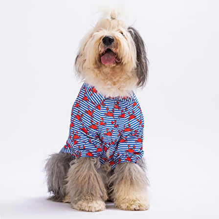Pawstar Crabs Orta-Büyük Irk Köpek Gömleği
