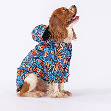 Pawstar Autumna Polarlı Su Geçirmez Küçük Irk Köpek Yağmurluğu