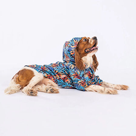Pawstar Autumna Polarlı Su Geçirmez Küçük Irk Köpek Yağmurluğu