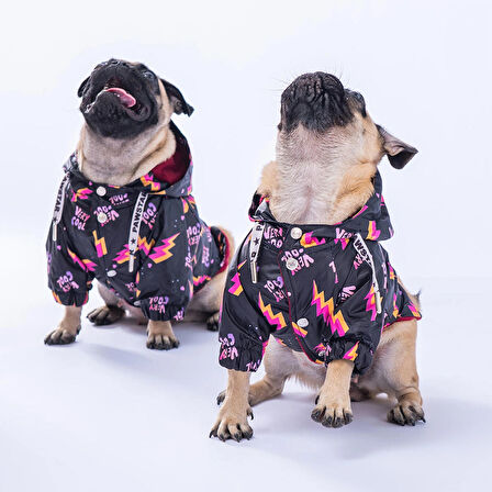 Pawstar Cool Polarlı Su Geçirmez Küçük Irk Köpek Yağmurluğu