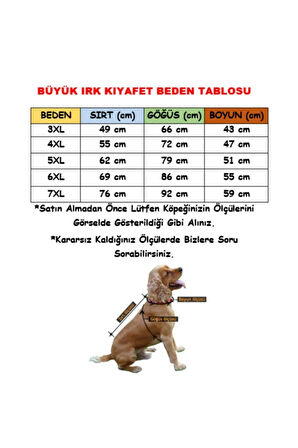 Pawstar Autumna Polarlı Su Geçirmez Orta-Büyük Irk Köpek Yağmurluğu