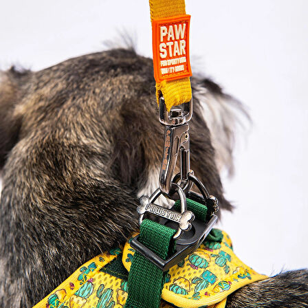 Pawstar Air-Mesh Cactus Köpek Göğüs Tasması
