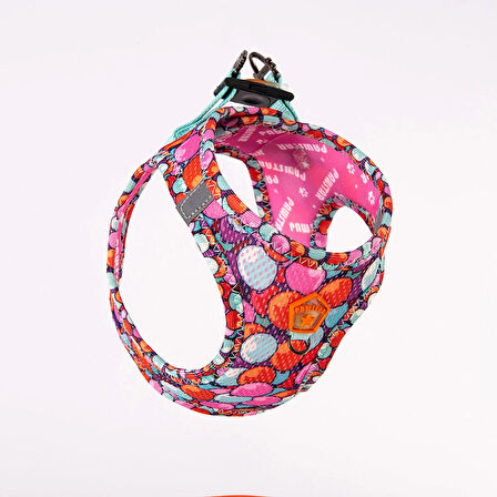 Pawstar Air-Mesh Balloons Köpek Göğüs Tasması
