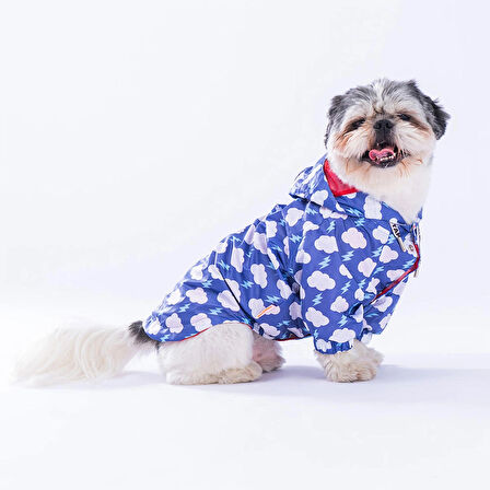 Pawstar Tonitruum Fileli Su Geçirmez Küçük Irk Köpek Yağmurluğu