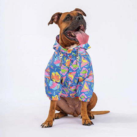 Pawstar Dinosaurum Fileli Su Geçirmez Orta-Büyük Irk Köpek Yağmurluğu