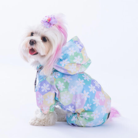 PAWSTAR FLORES KÜÇÜK IRK KÖPEK MONT TULUM YAĞMURLUK