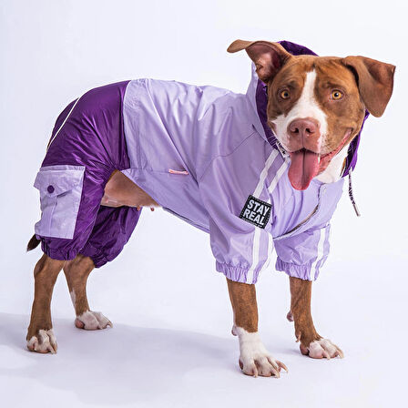 Pawstar BiColor Lila-Mor Polarlı Su Geçirmez Orta-Büyük Irk Köpek Yağmurluk Tulum