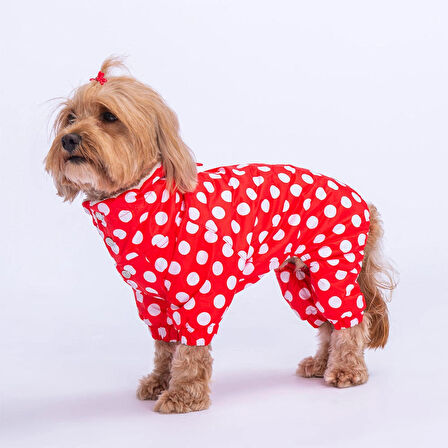 Pawstar Dots Red Peluşlu Su Geçirmez Küçük Irk Köpek Yağmurluk Tulum