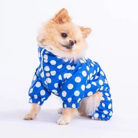 PawStar Mavi Puantiyeli Tulum Yağmurluk Küçük ve Orta Irk