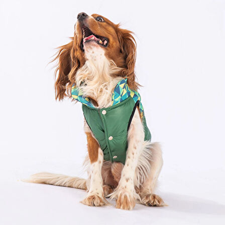 Pawstar Yeşil Diametro Su Geçirmez Küçük Irk Köpek Yağmurluğu