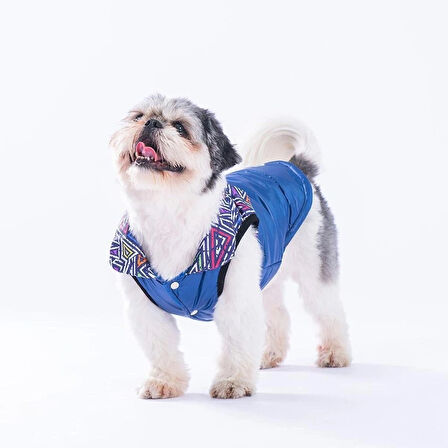 Pawstar Lacivert Diametro Su Geçirmez Küçük Irk Köpek Yağmurluğu