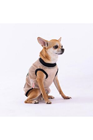 Pawstar Bear Mesh Kedi Köpek Tişörtü - Kedi Köpek Kıyafeti 2XLarge