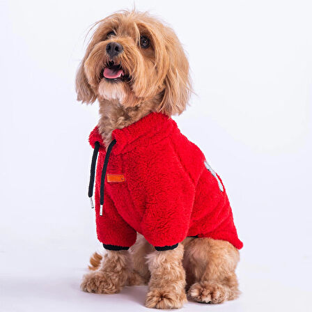 Pawstar Kırmızı Cool Sweet Küçük Irk Köpek Pofuduk Sweatshirt