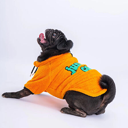 Pawstar Turuncu Cool Sweet Küçük Irk Köpek Pofuduk Sweatshirt