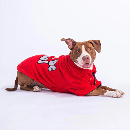 Pawstar Kırmızı Cool Sweet Orta-Büyük Irk Köpek Pofuduk Sweatshirt