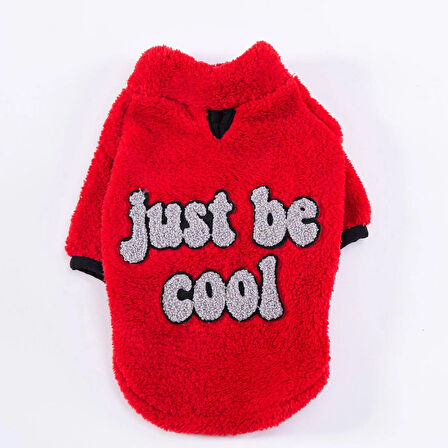 Pawstar Kırmızı Cool Sweet Orta-Büyük Irk Köpek Pofuduk Sweatshirt