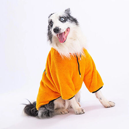 Pawstar Turuncu Cool Sweet Orta-Büyük Irk Köpek Pofuduk Sweatshirt