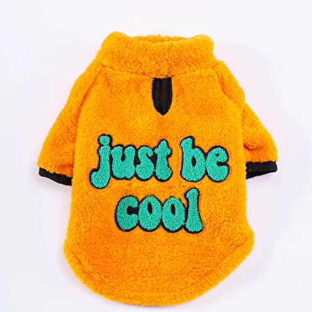Pawstar Turuncu Cool Sweet Orta-Büyük Irk Köpek Pofuduk Sweatshirt