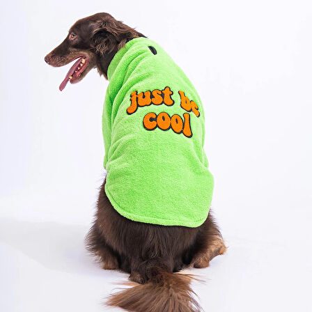 Pawstar Yeşil Cool Sweet Orta-Büyük Irk Köpek Pofuduk Sweatshirt