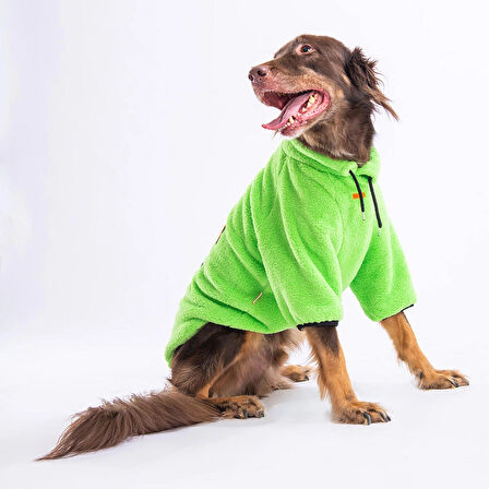 Pawstar Yeşil Cool Sweet Orta-Büyük Irk Köpek Pofuduk Sweatshirt